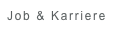 Job & Karriere