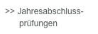 >> Jahresabschluss-
      prüfungen