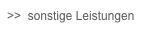 >>  sonstige Leistungen