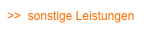 >>  sonstige Leistungen